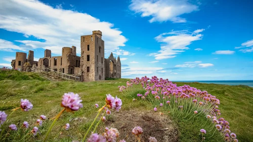 Nature & paysages