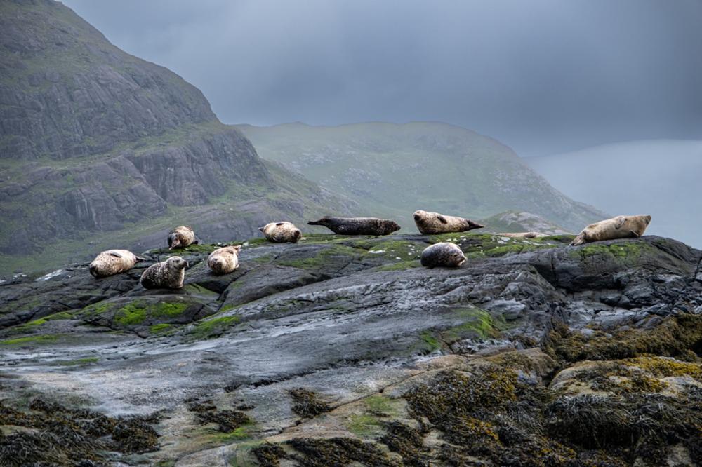 Pourquoi visiter l'île de Skye ?